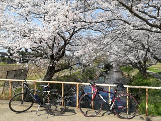 IMG_20180331_095541
