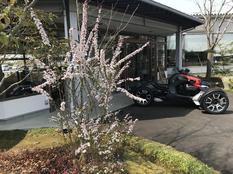 写真 2019-03-28 11 27 14
