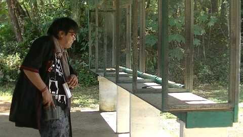 00083_Capture_8