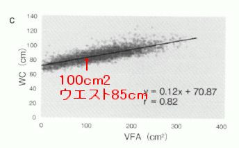 メタボ 腹囲85cmの謎が解けた New Life
