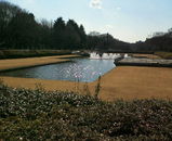 上野公園.jpg