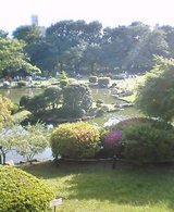 小石川植物園.jpg