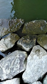20180602_115150688