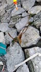 20180602_095409661