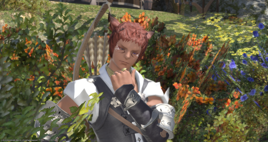 ffxiv_20181113_013207