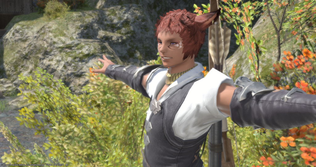 ffxiv_20181113_014454