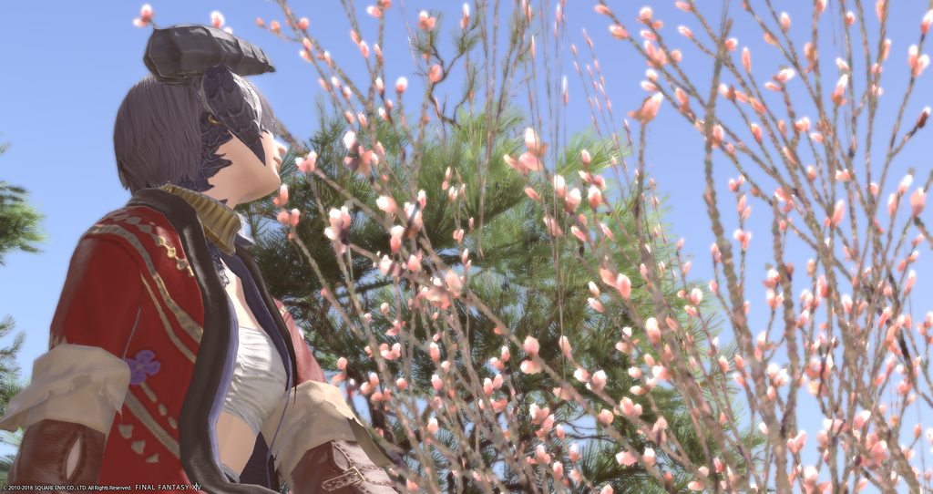 ffxiv_20181119_011340