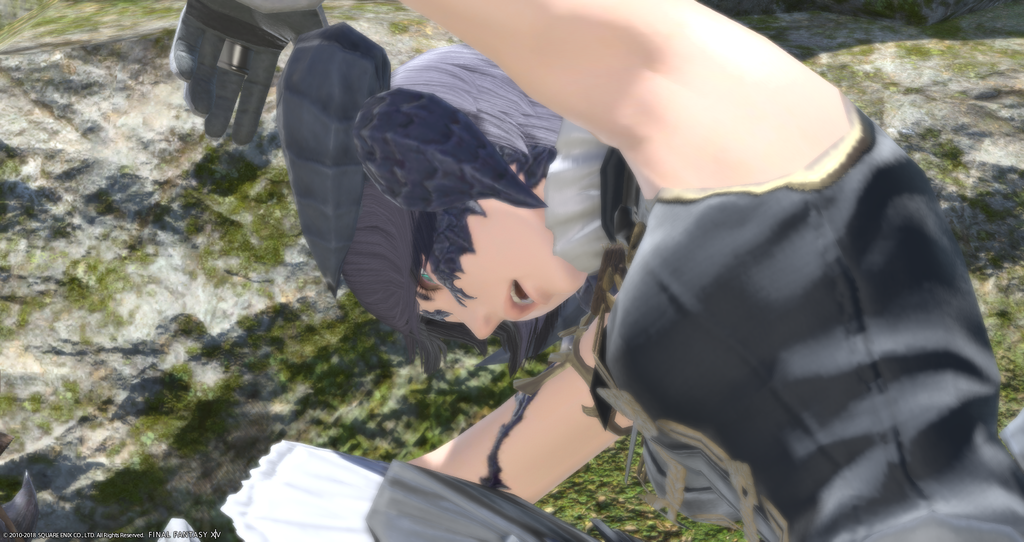 ffxiv_20181201_022506