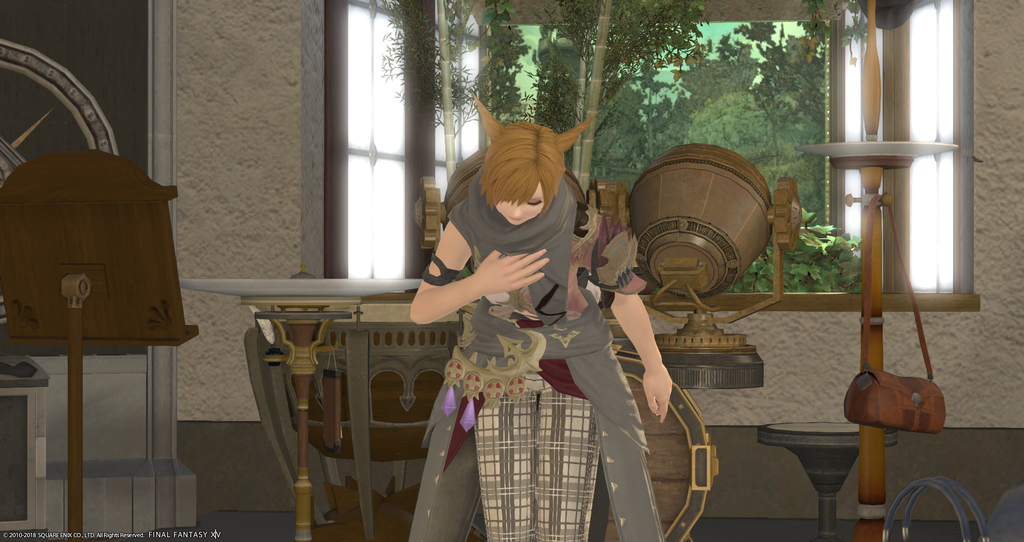 ffxiv_20181124_231634