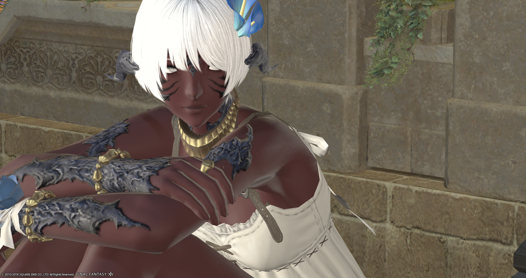 ffxiv_20181124_193321