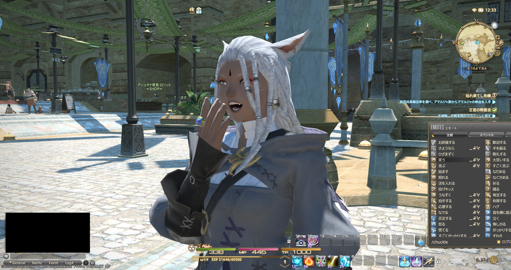 ffxiv_20160902_123349
