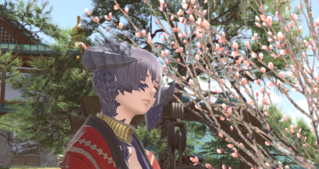 ffxiv_20181119_011227