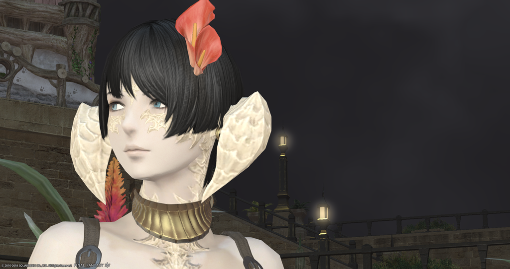 ffxiv_20181124_193333