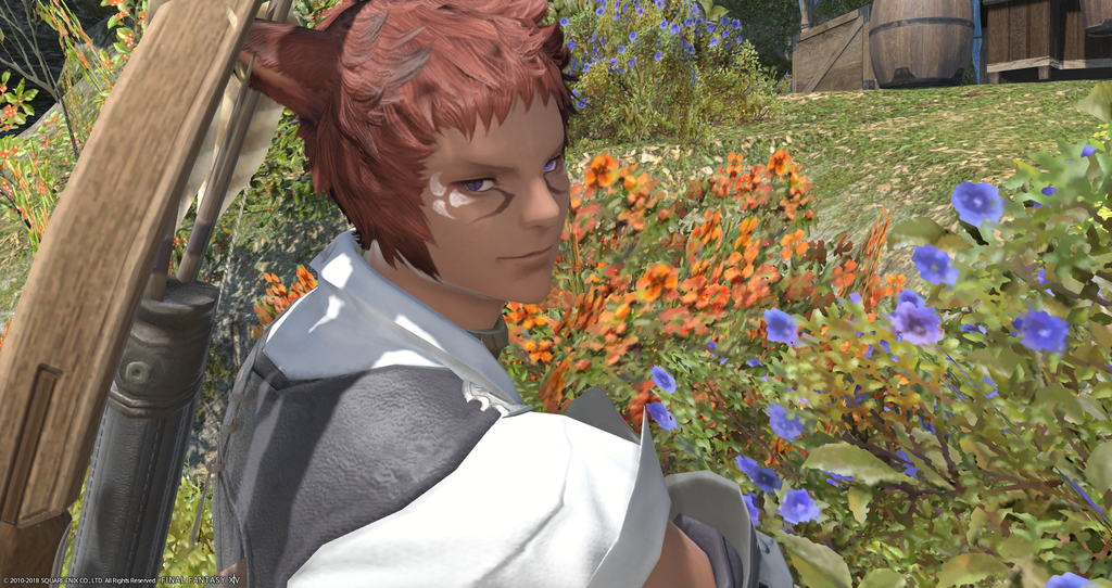 ffxiv_20181113_014324