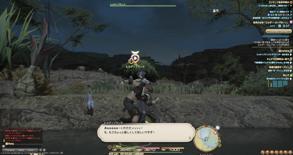 ffxiv_20181128_233129
