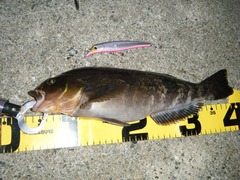 2010062106
