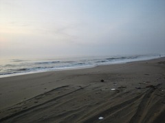 2012060205 - コピー