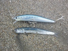 2012060306