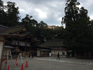 IMG_0440_640
