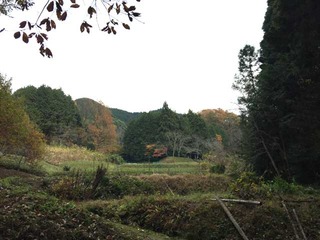 IMG_0454_640