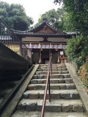 IMG_0446_320