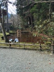 IMG_0472_320