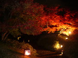05c2d63a.JPG