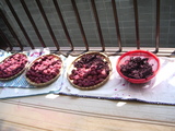 f8566699.JPG