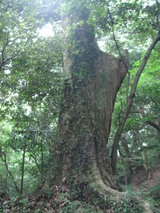 0f268292.jpg