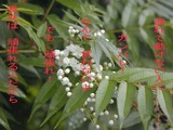 2827d608.jpg
