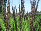 6b344ee1.jpg