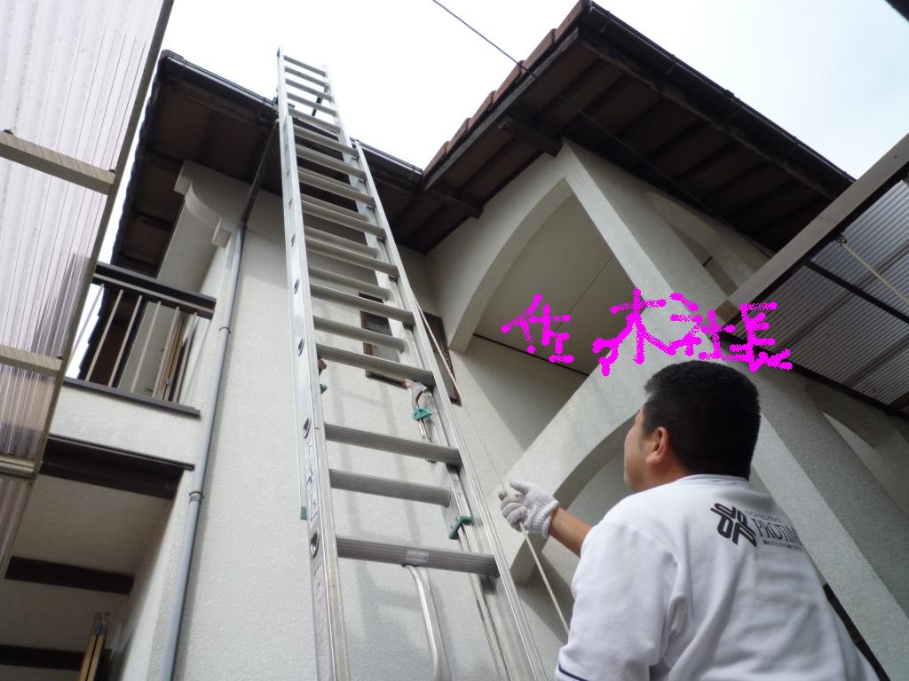 画像 4052145