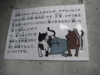 �����饷�ȸ�ǭ��Ʊ���