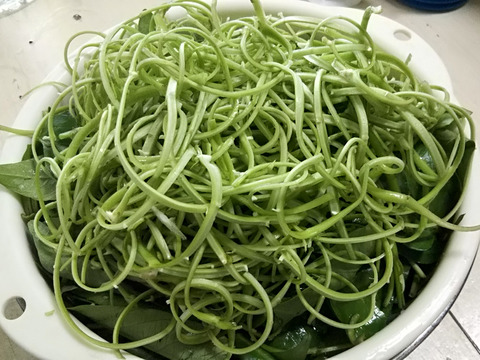 2018-06-10g