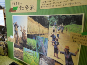 DSCN2006