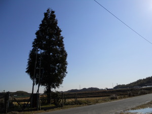 DSCN6150