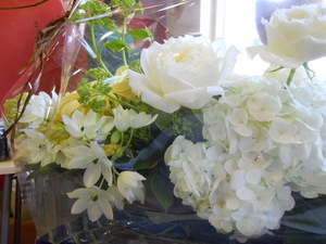 DSCN3005