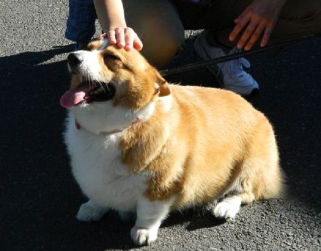 213