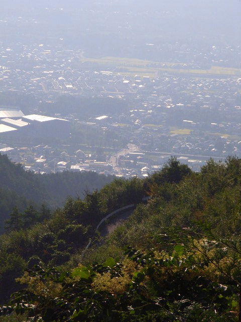 873cf7a2.jpg