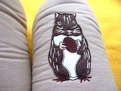 もっちりかわいい
