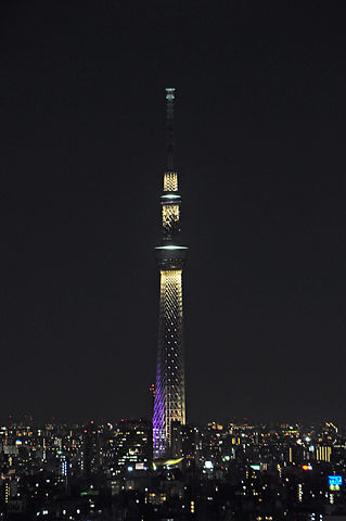 スカイツリーの夜景(雅)