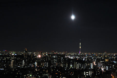 文京シビックセンターからの夜景（その６）