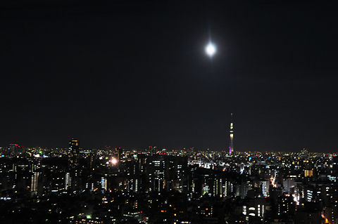 文京シビックセンターからの夜景(その6)