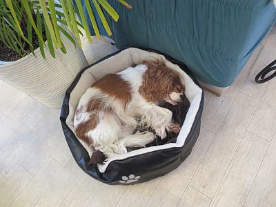 ぐっすりだよ