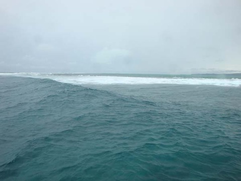 DSC08673