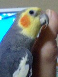 02652990.jpg