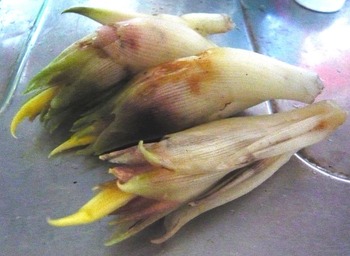 収穫物