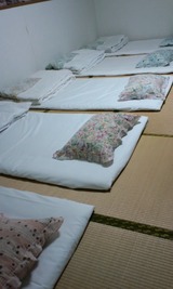 ef217091.jpg