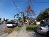 DSC08409