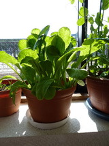 P1140137